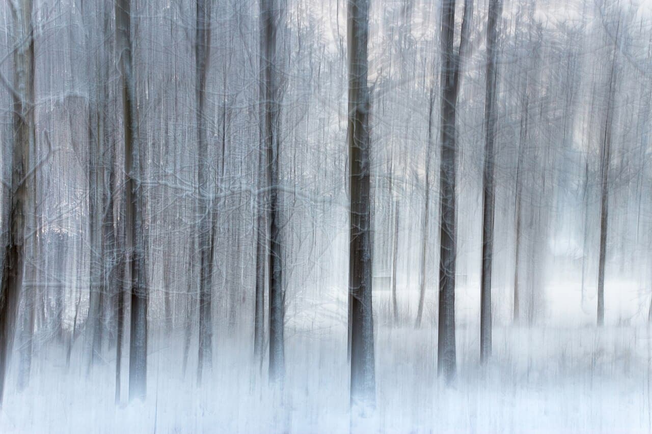 Trees photographed with handheld ICM (intentional camera movement) on Myrstigen hiking trail in winter in Brastad,…