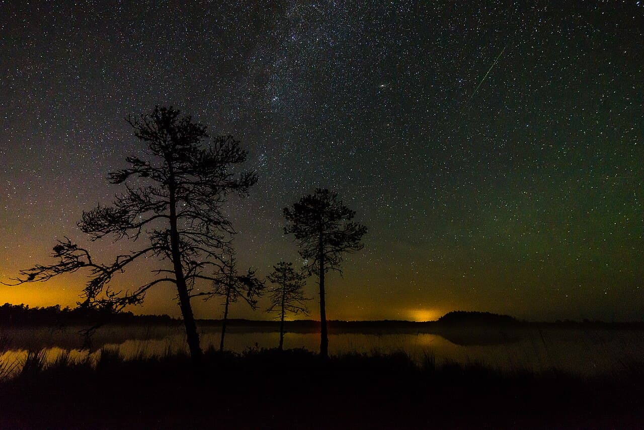 Looking for the Perseids meteor shower in Luhasoo bog in Estonia. In the photo there is one Perseid, Milky Way and…