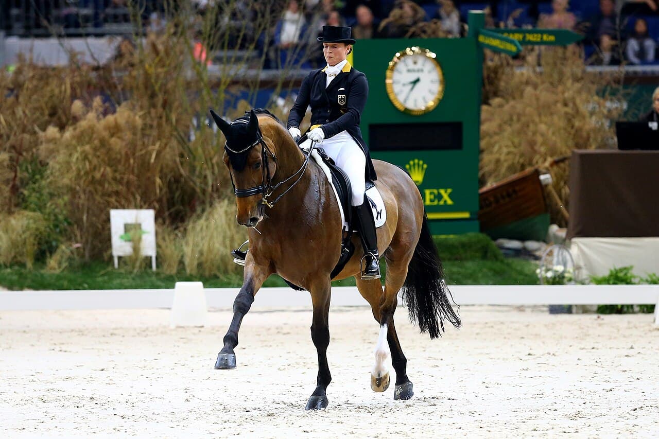Isabell Werth with Emilio at the Grand Prix Freestyle, CDI 4* CHI Geneve 2016