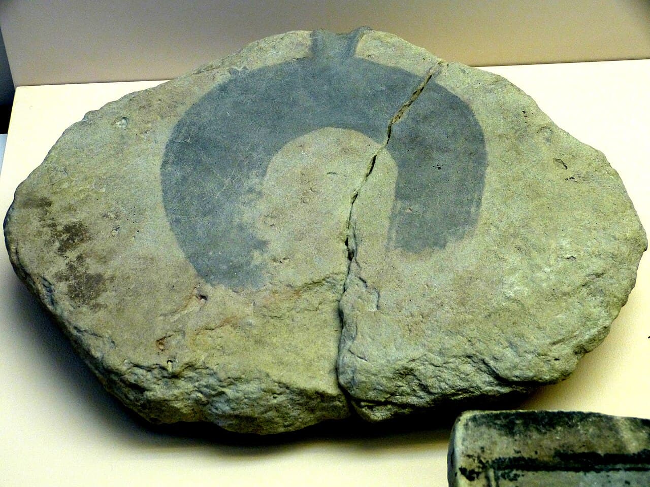 Straubing ( Lower Bavaria ). Gäubodenmuseum: Bronze age casting mould for a sickle, from Straubing-Lerchenhaid.