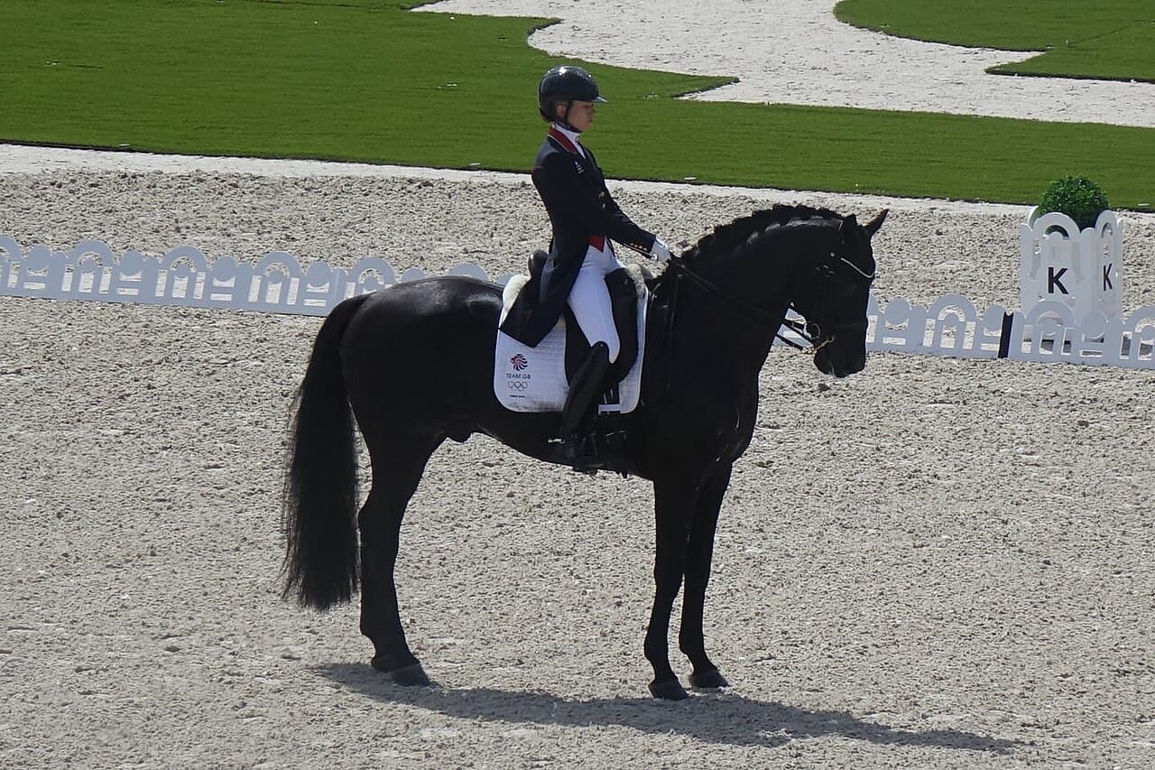 Charlotte Fry (GBR) and Glamourdale - Grand Prix Freestyle - Dressage individual final - 2024 Paris Olympic Games