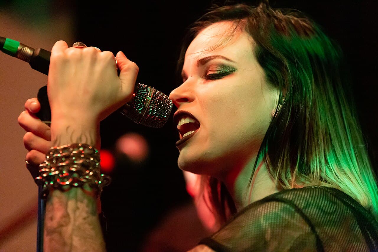 Singer "Shakey Sue" at a concert by the band " The Hellfreaks " in Erfurt