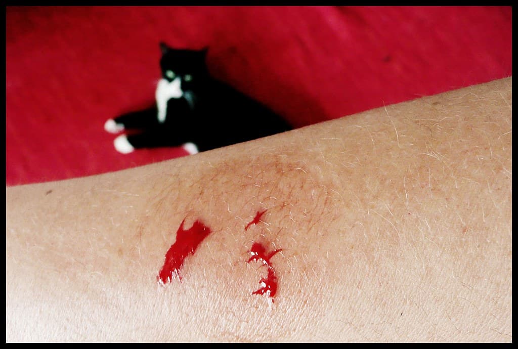 Photograph illustrating Täter