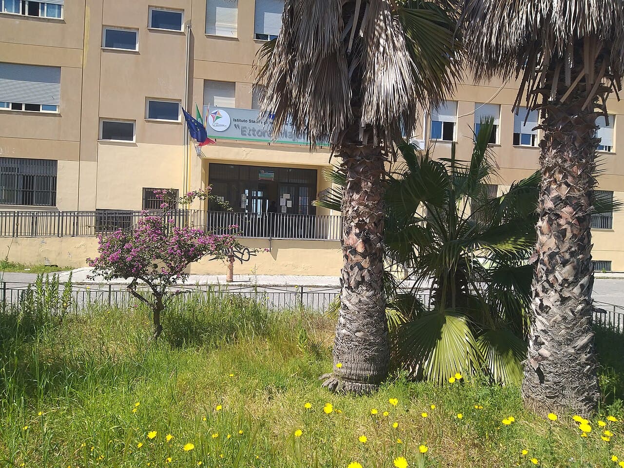 A photo of the Ettore Majorana high school in Gela